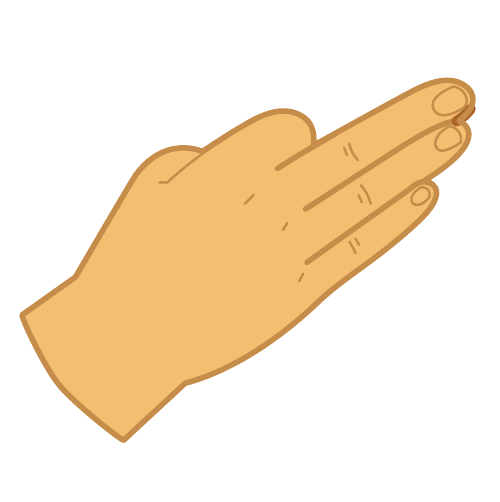 Handshape 3